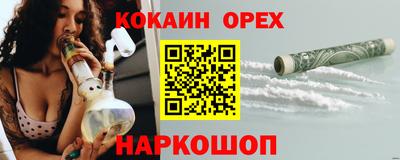 крисы Будённовск