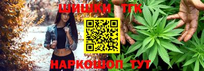 крисы Будённовск